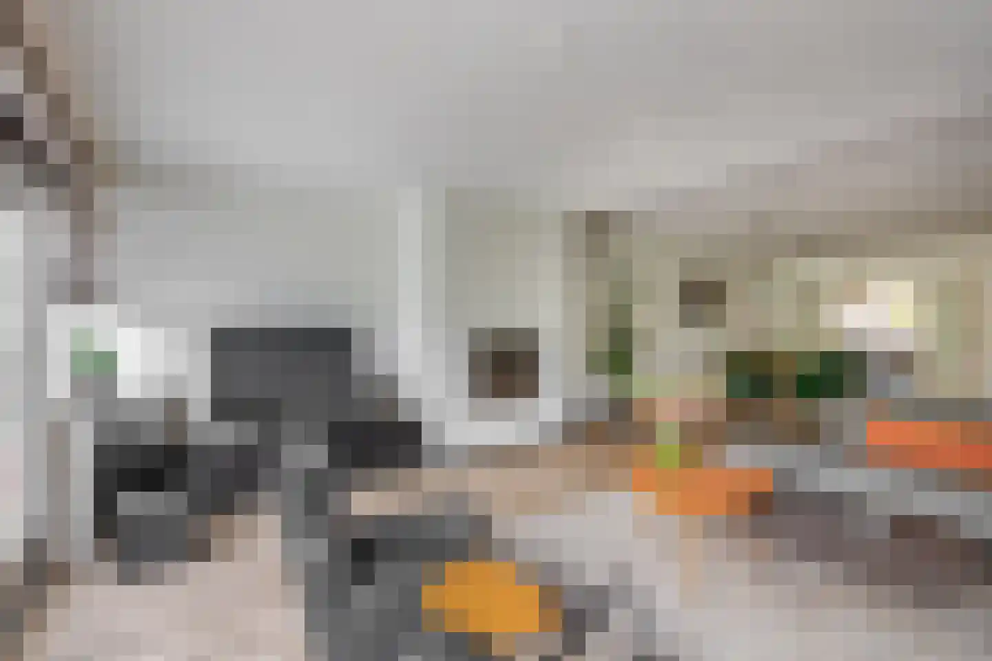 De Beemel 11 Nuenen thumbnail 16