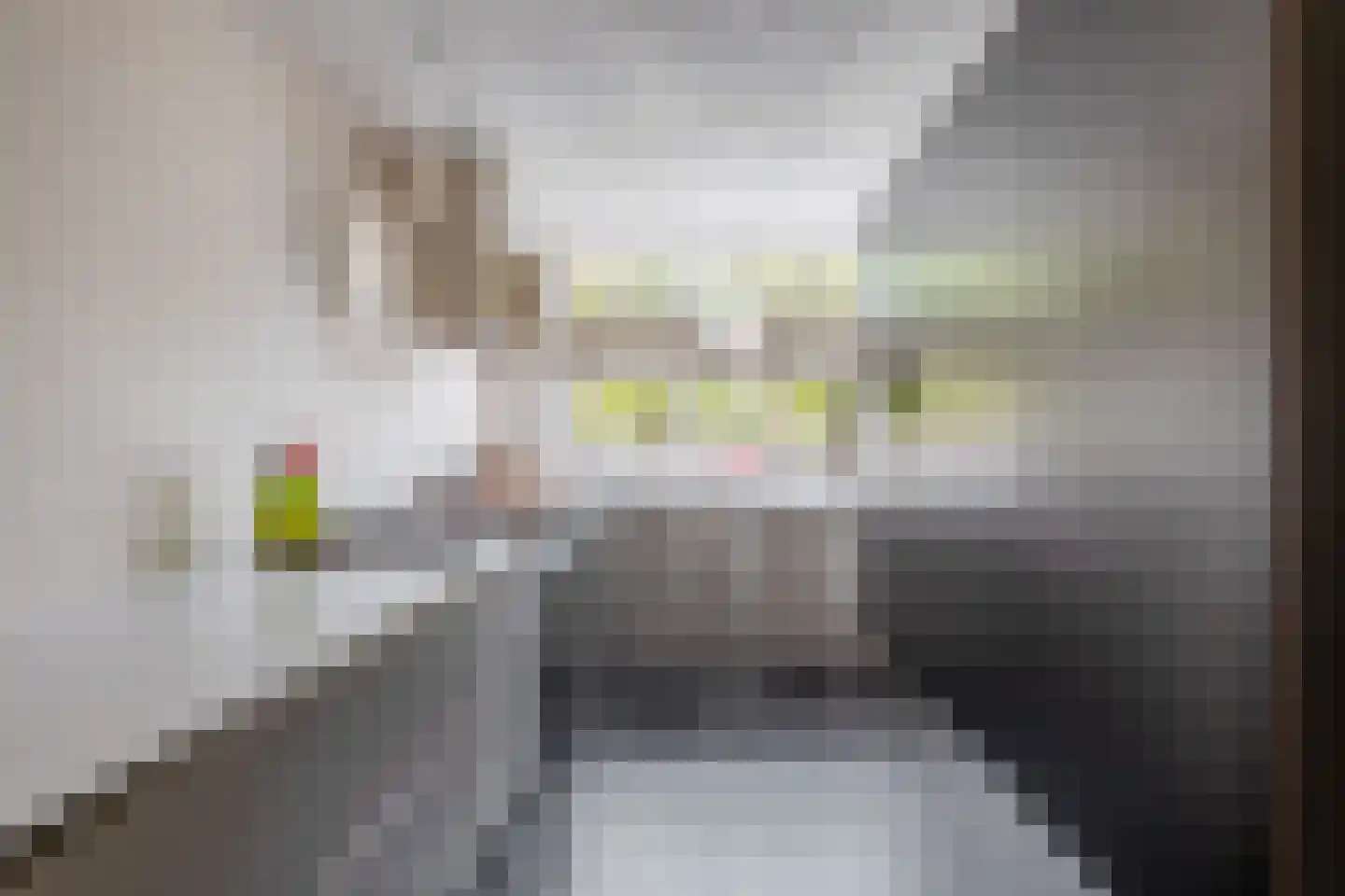 De Beemel 11 Nuenen thumbnail 18