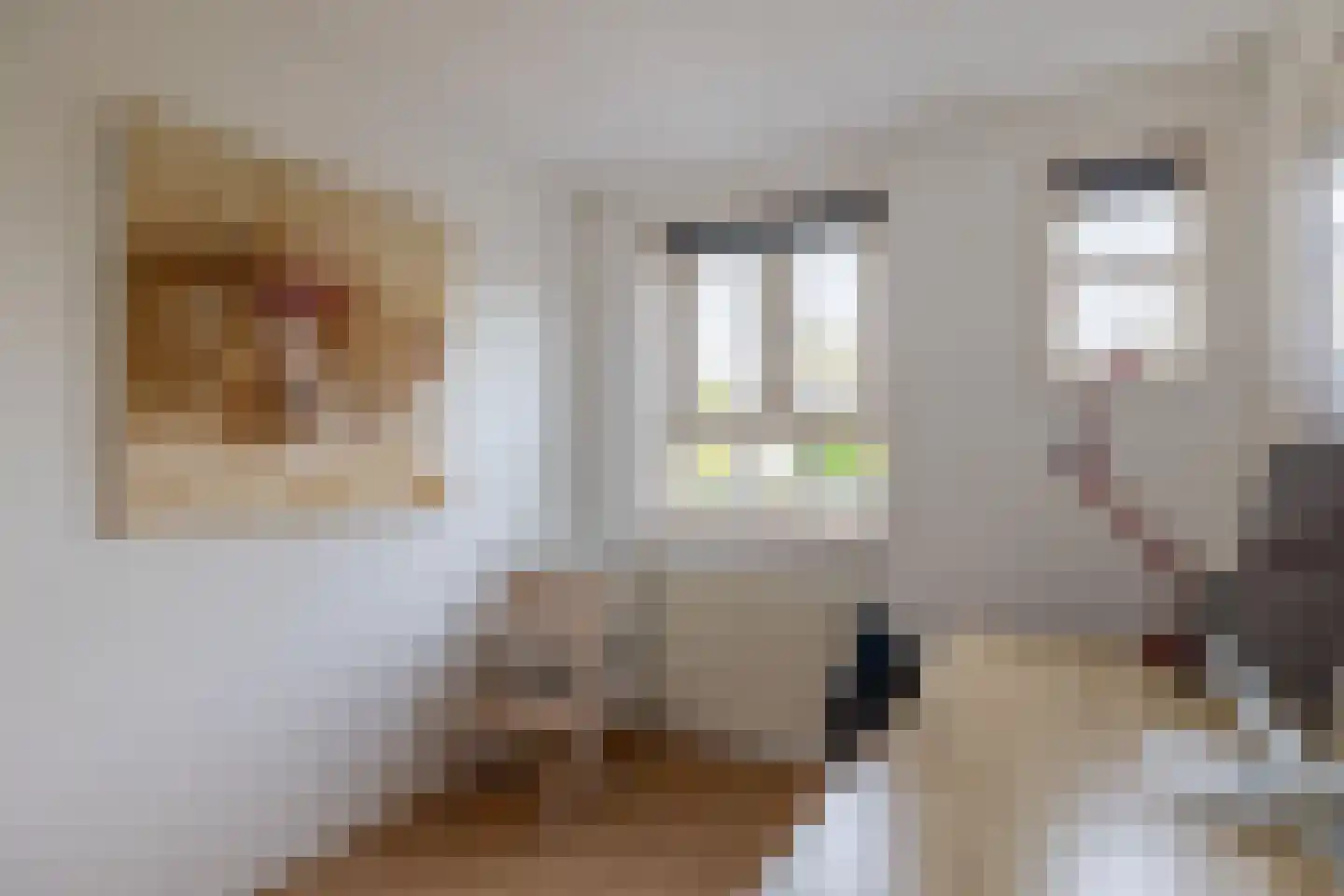 De Beemel 11 Nuenen thumbnail 24