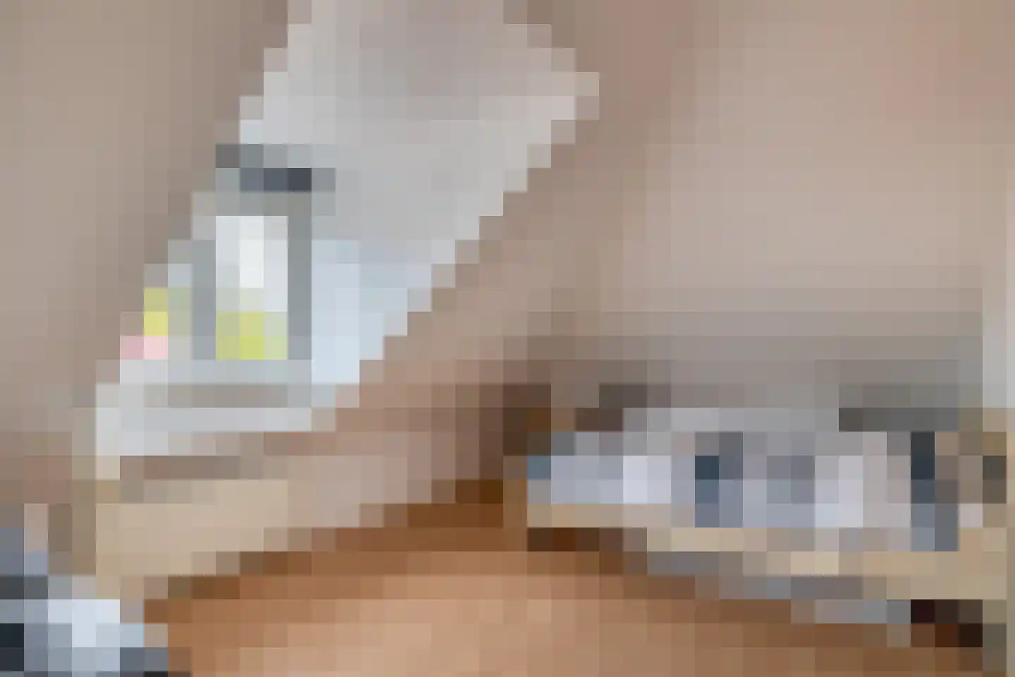 De Beemel 11 Nuenen thumbnail 34