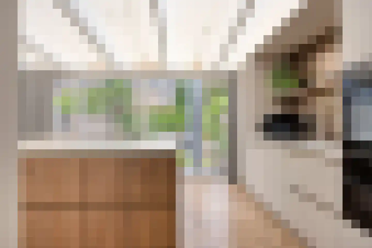 de Beempd 10 Oirschot thumbnail 19