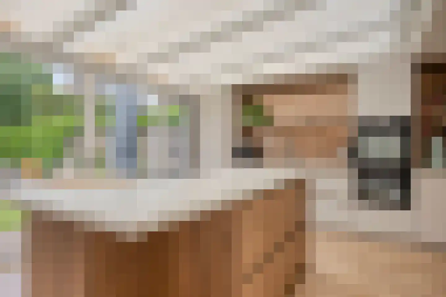 de Beempd 10 Oirschot thumbnail 20
