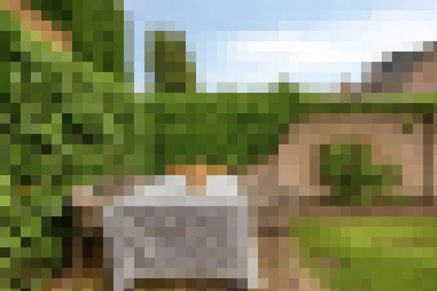 de Beempd 10 Oirschot thumbnail 42