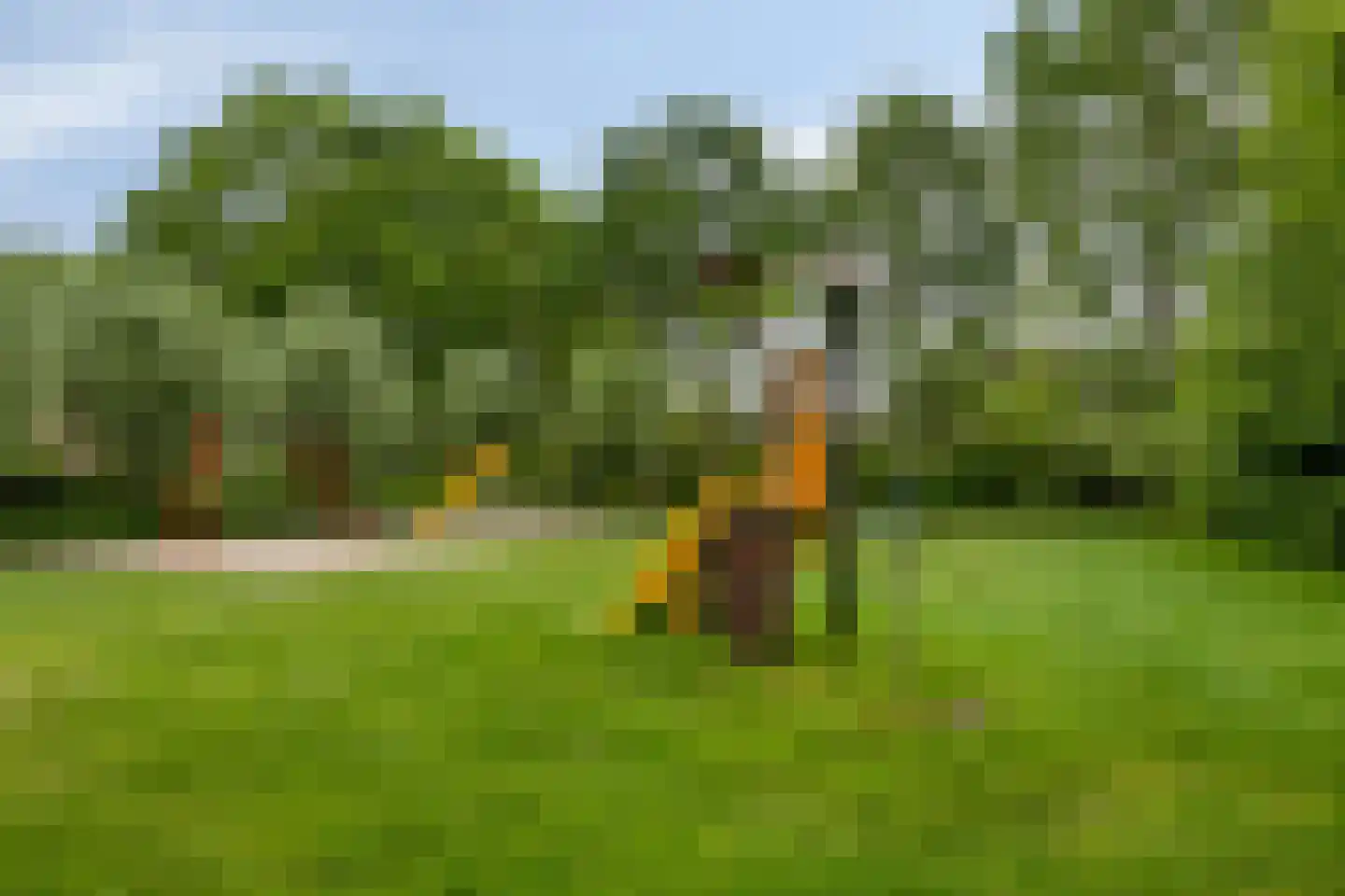 de Beempd 10 Oirschot thumbnail 46
