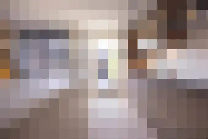 de Beempd 32 Oirschot thumbnail 12