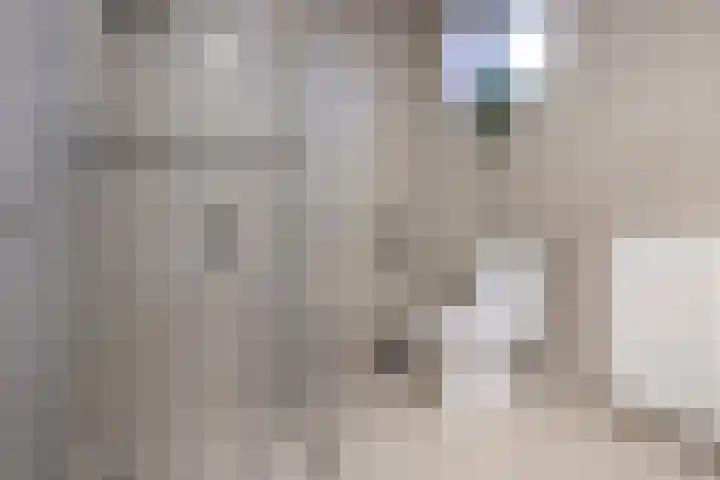 de Beempd 32 Oirschot thumbnail 23