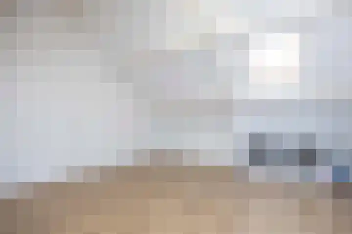 de Beempd 32 Oirschot thumbnail 24