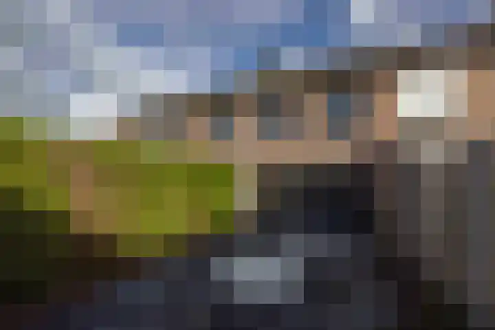 de Beempd 32 Oirschot thumbnail 25