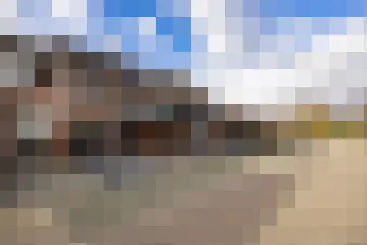 de Beempd 32 Oirschot thumbnail 28