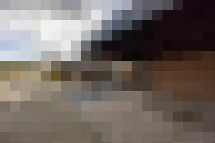 de Beempd 32 Oirschot thumbnail 29