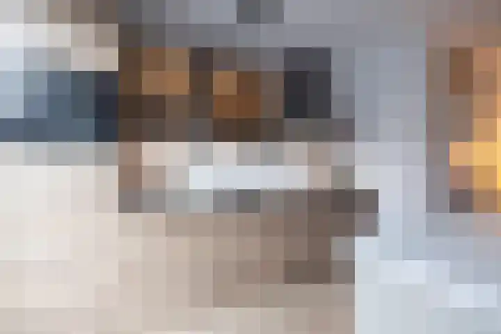 de Beempd 32 Oirschot thumbnail 4