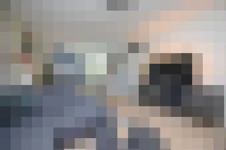 de Beempd 32 Oirschot thumbnail 6