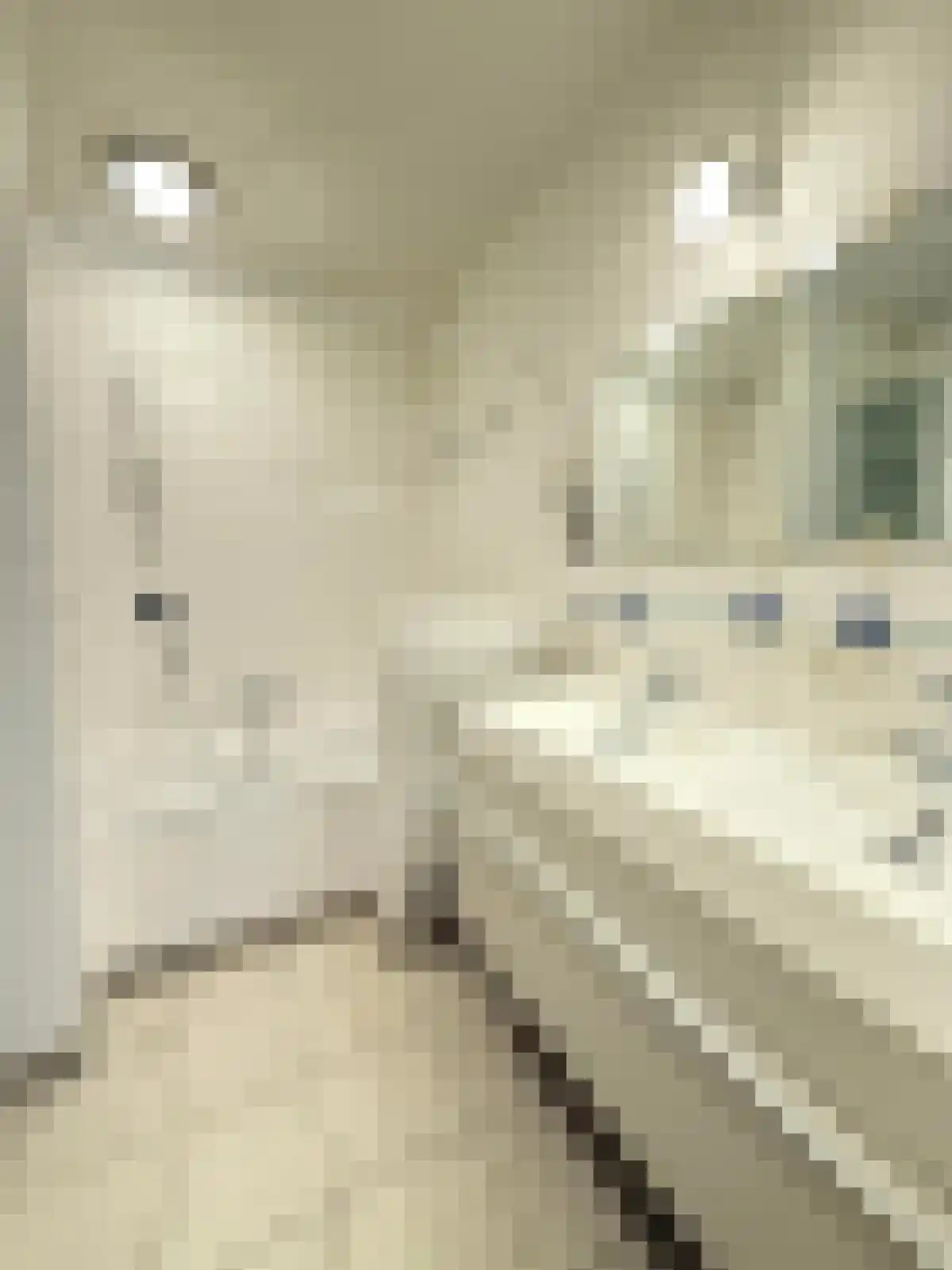 de Beente 28 Maastricht thumbnail 7