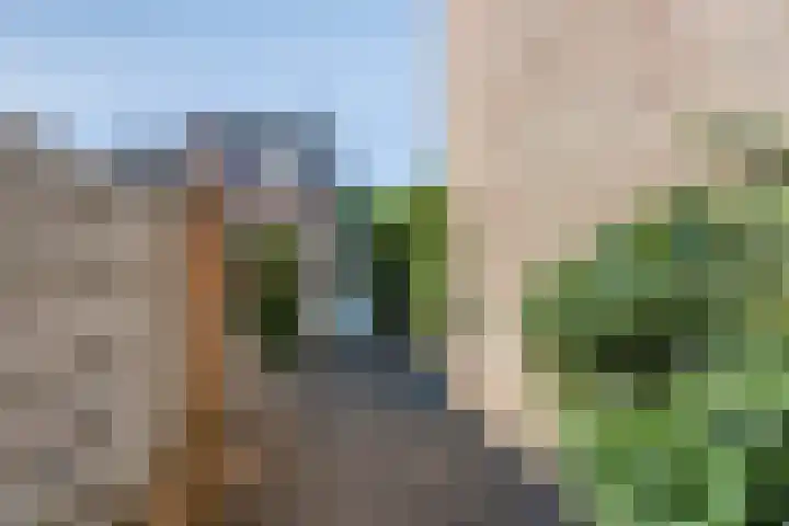 de Beente 59 Maastricht thumbnail 28