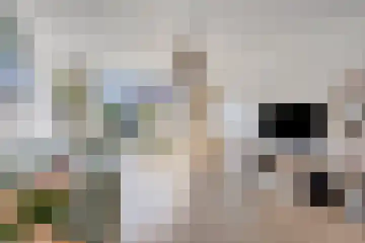 de Beente 59 Maastricht thumbnail 6