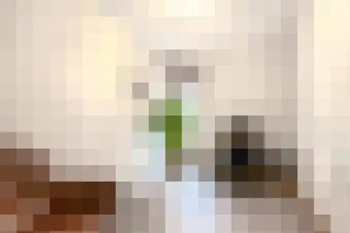 De Beeretweg 38 Venlo thumbnail 10