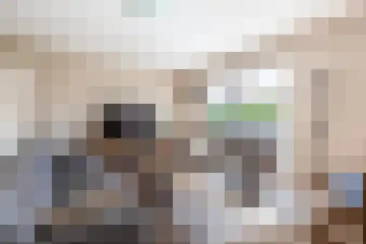 De Beeretweg 38 Venlo thumbnail 11