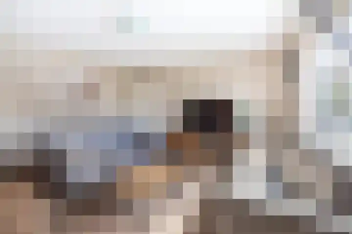 De Beeretweg 38 Venlo thumbnail 12