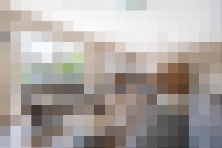 De Beeretweg 38 Venlo thumbnail 13