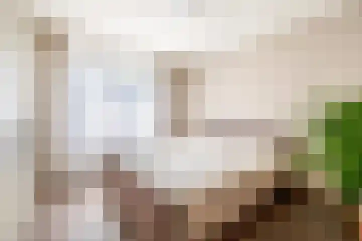De Beeretweg 38 Venlo thumbnail 15
