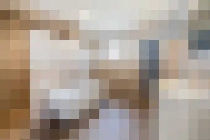 De Beeretweg 38 Venlo thumbnail 17