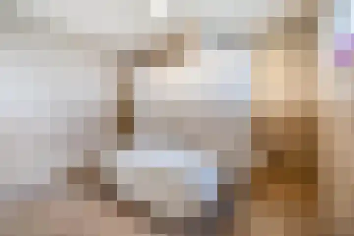 De Beeretweg 38 Venlo thumbnail 18