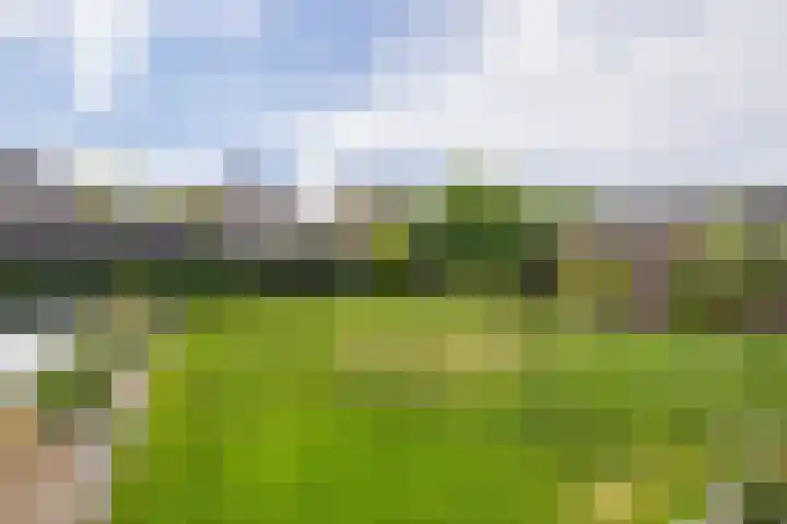 De Beeretweg 38 Venlo thumbnail 30