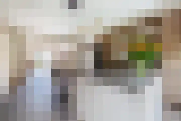 De Beeretweg 38 Venlo thumbnail 7
