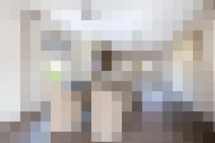 De Beeretweg 38 Venlo thumbnail 9