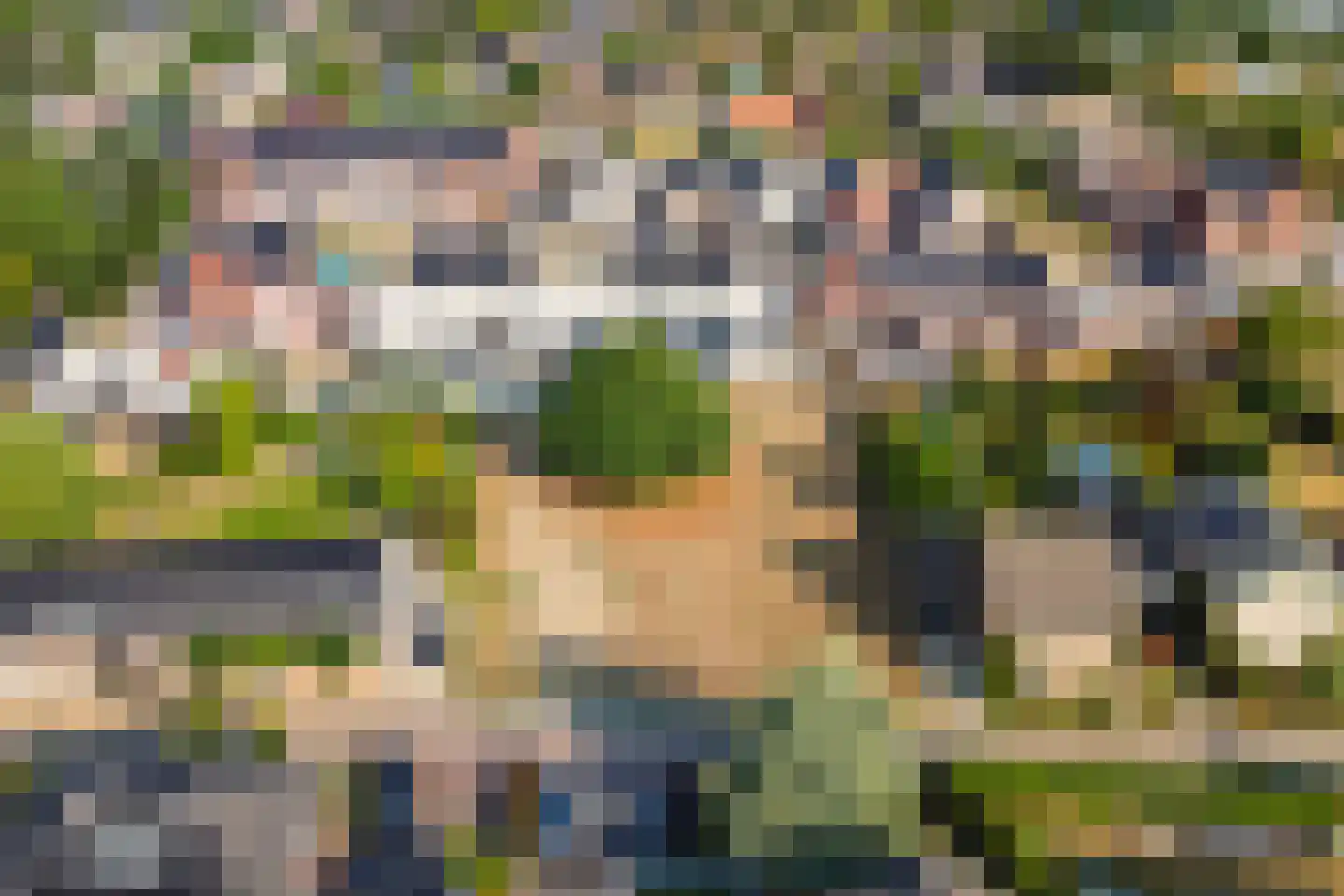De Beeretweg Venlo thumbnail 5
