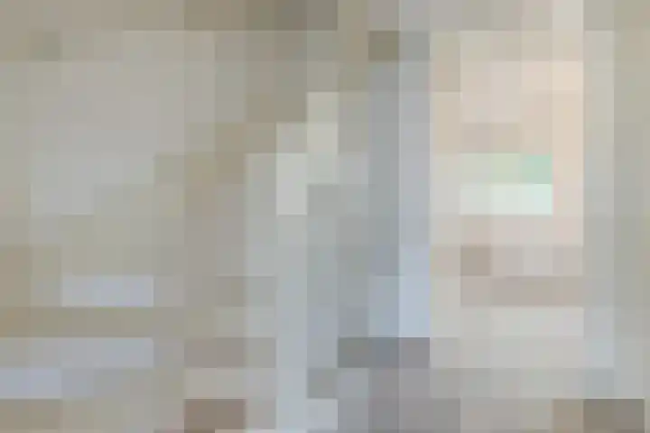 De Beeringen 1 Bemmel thumbnail 31