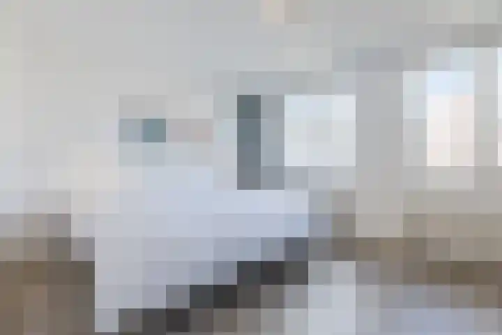 De Beeringen 1 Bemmel thumbnail 32