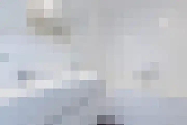 De Beeringen 1 Bemmel thumbnail 36