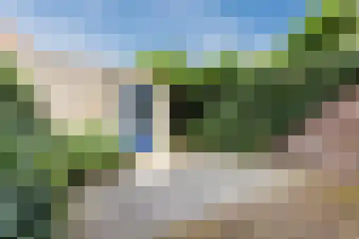 De Beeringen 1 Bemmel thumbnail 47