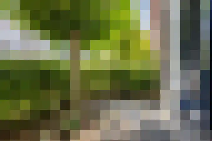 De Beeringen 1 Bemmel thumbnail 5