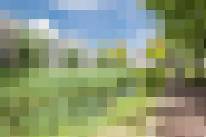 De Beeringen 1 Bemmel thumbnail 54