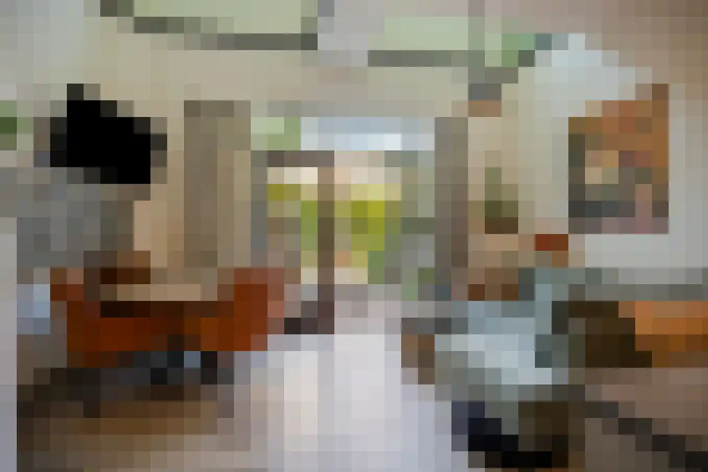 De Beeringen 3 Bemmel thumbnail 10