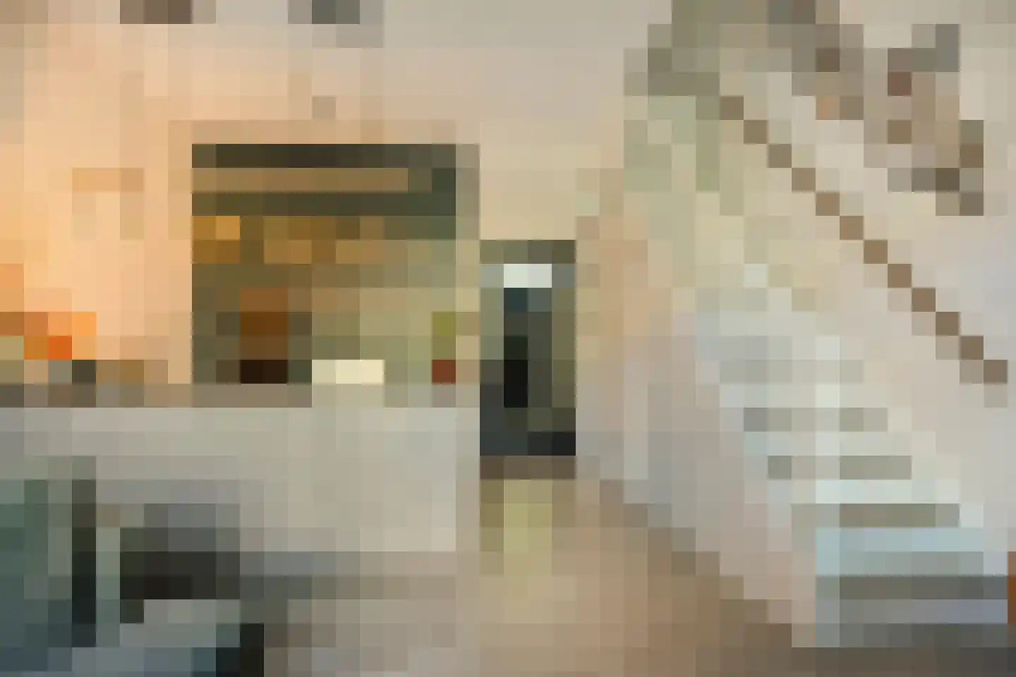 De Beeringen 3 Bemmel thumbnail 11