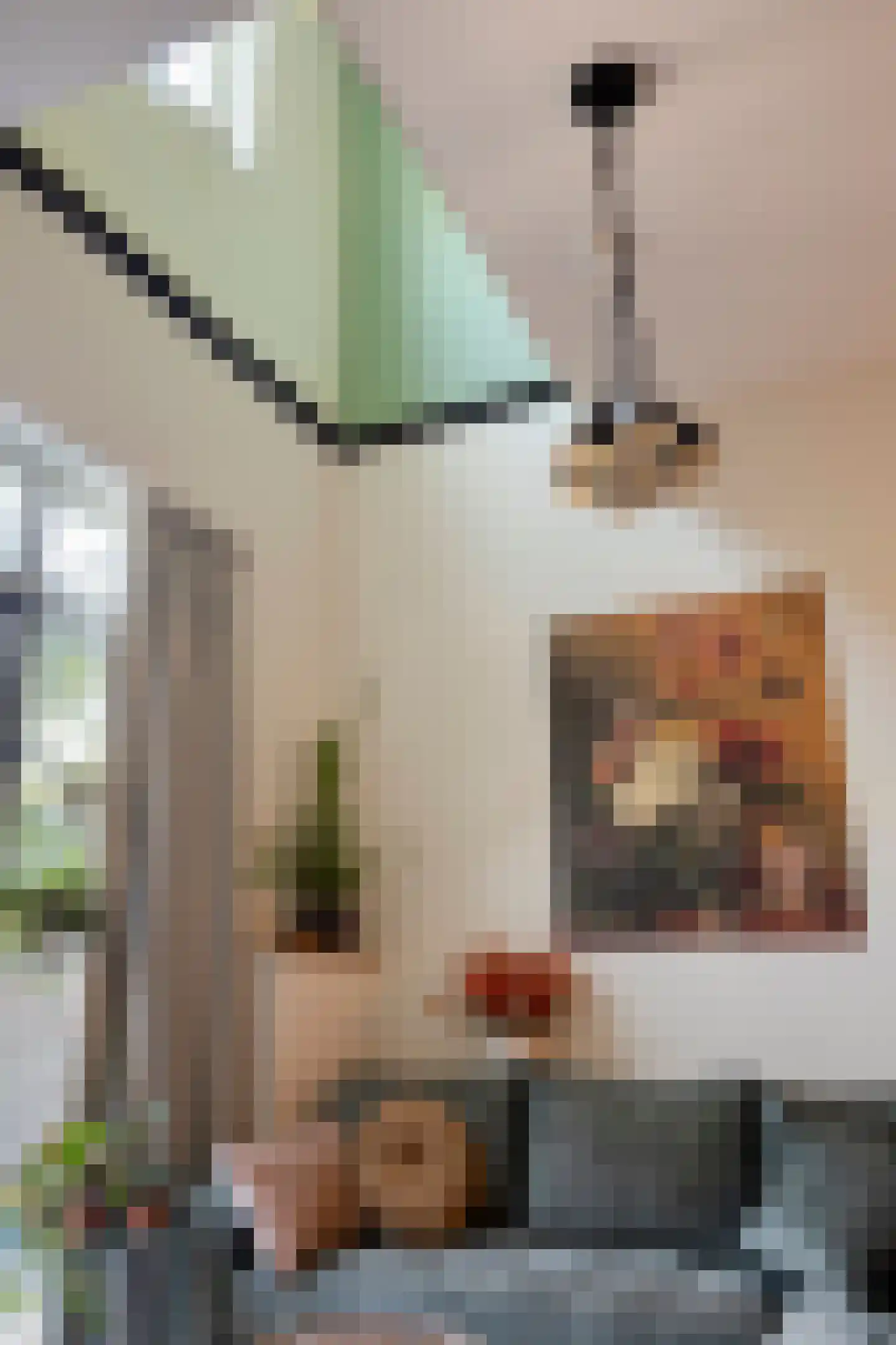De Beeringen 3 Bemmel thumbnail 13
