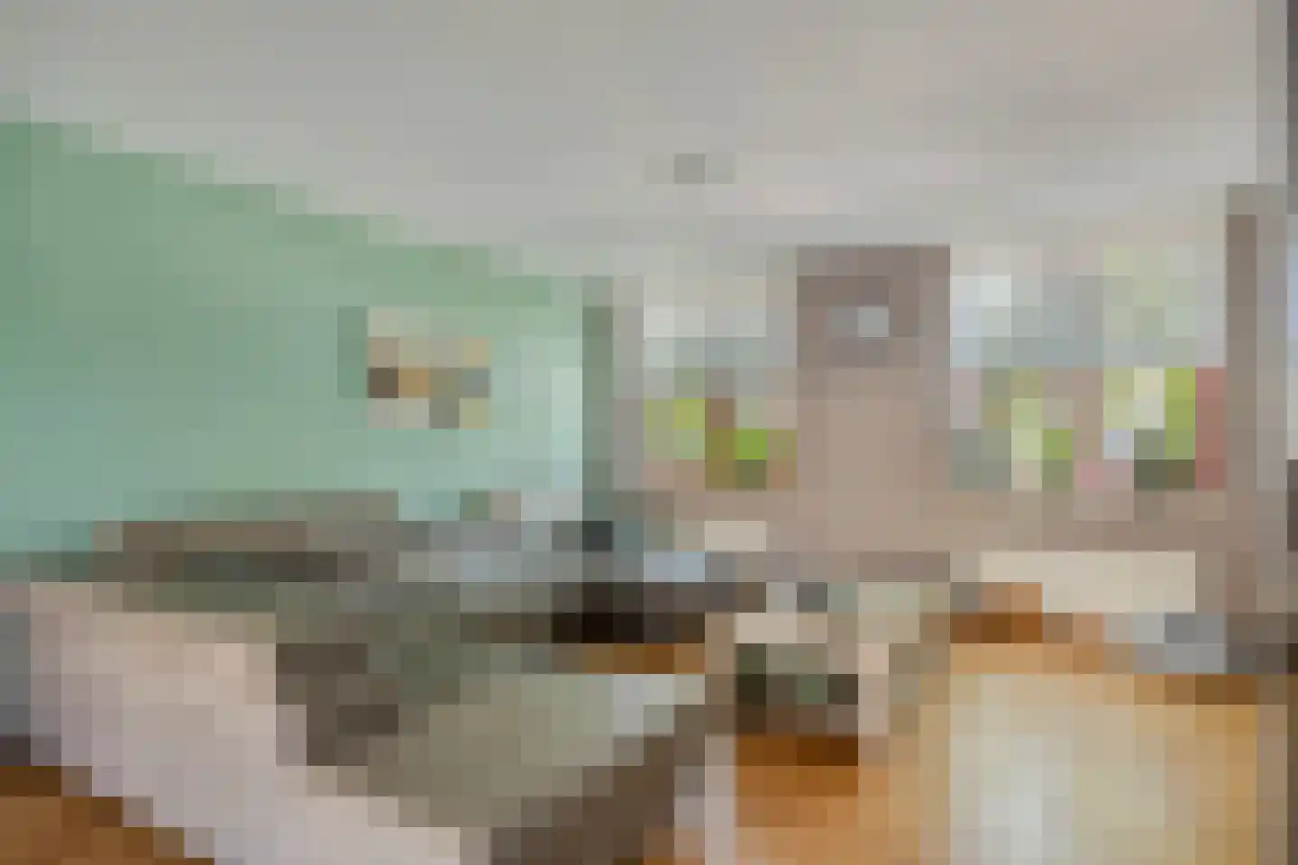 De Beeringen 3 Bemmel thumbnail 14