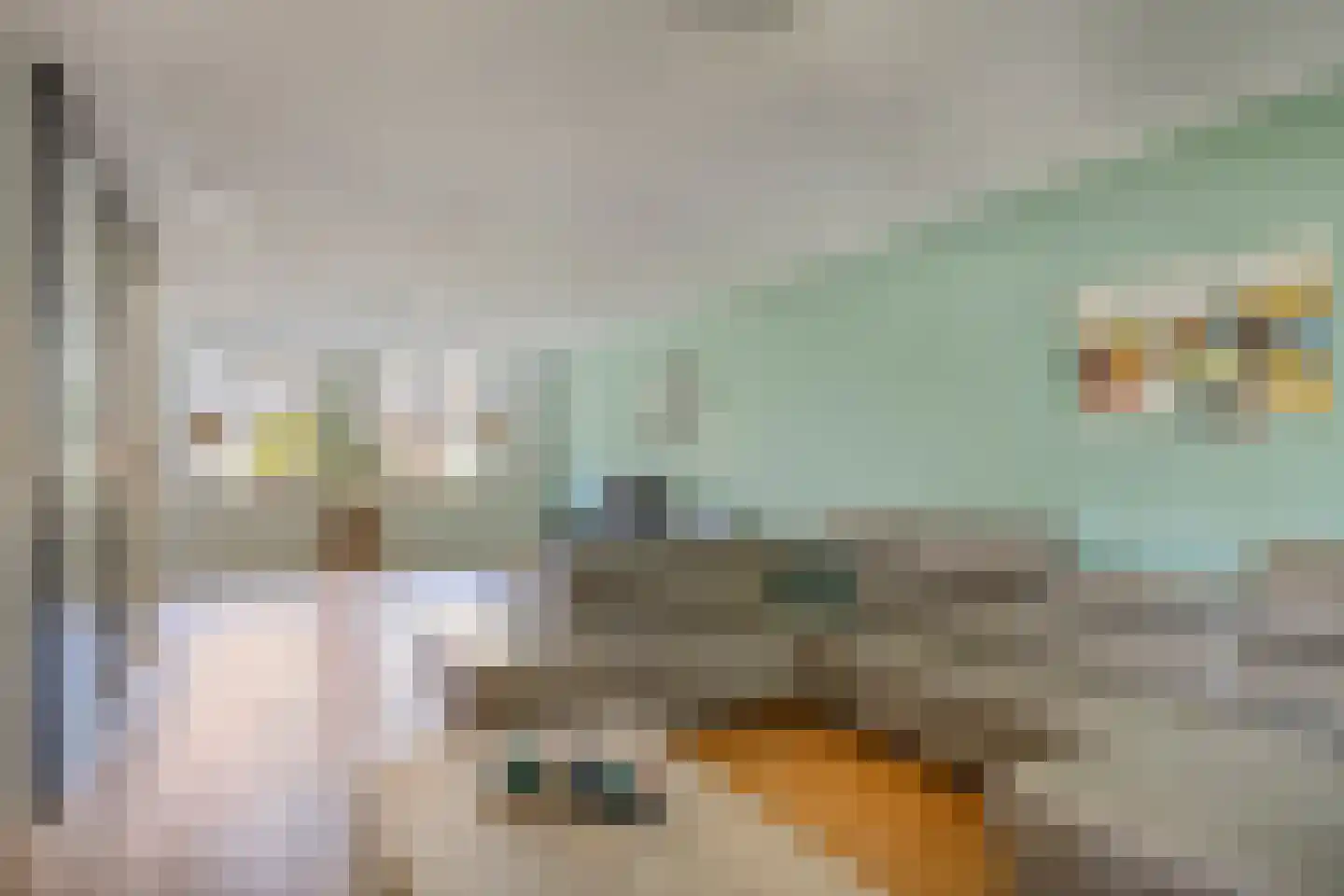 De Beeringen 3 Bemmel thumbnail 15