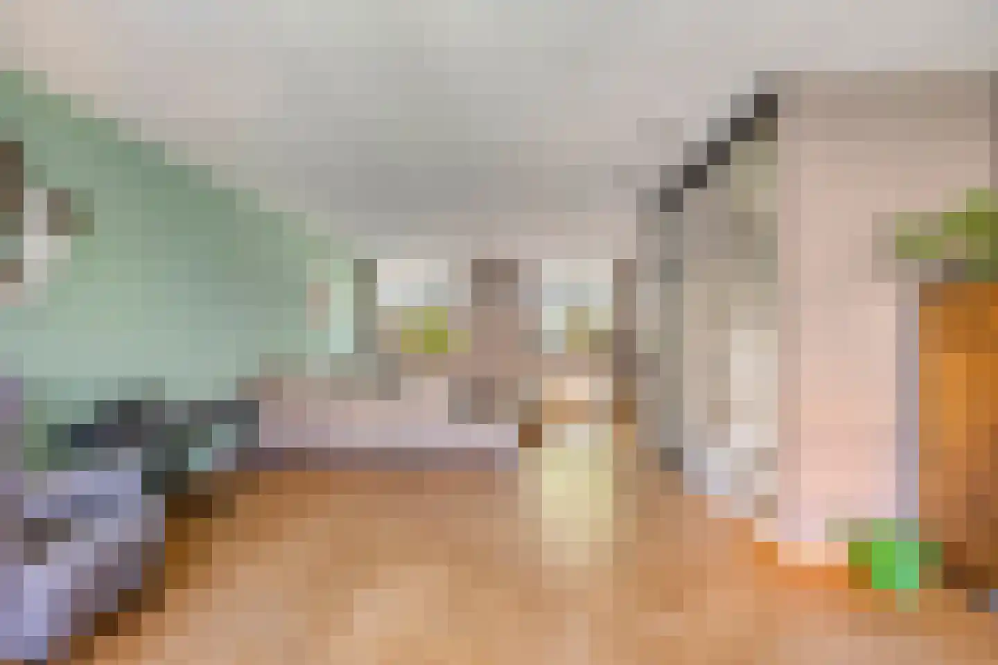 De Beeringen 3 Bemmel thumbnail 18