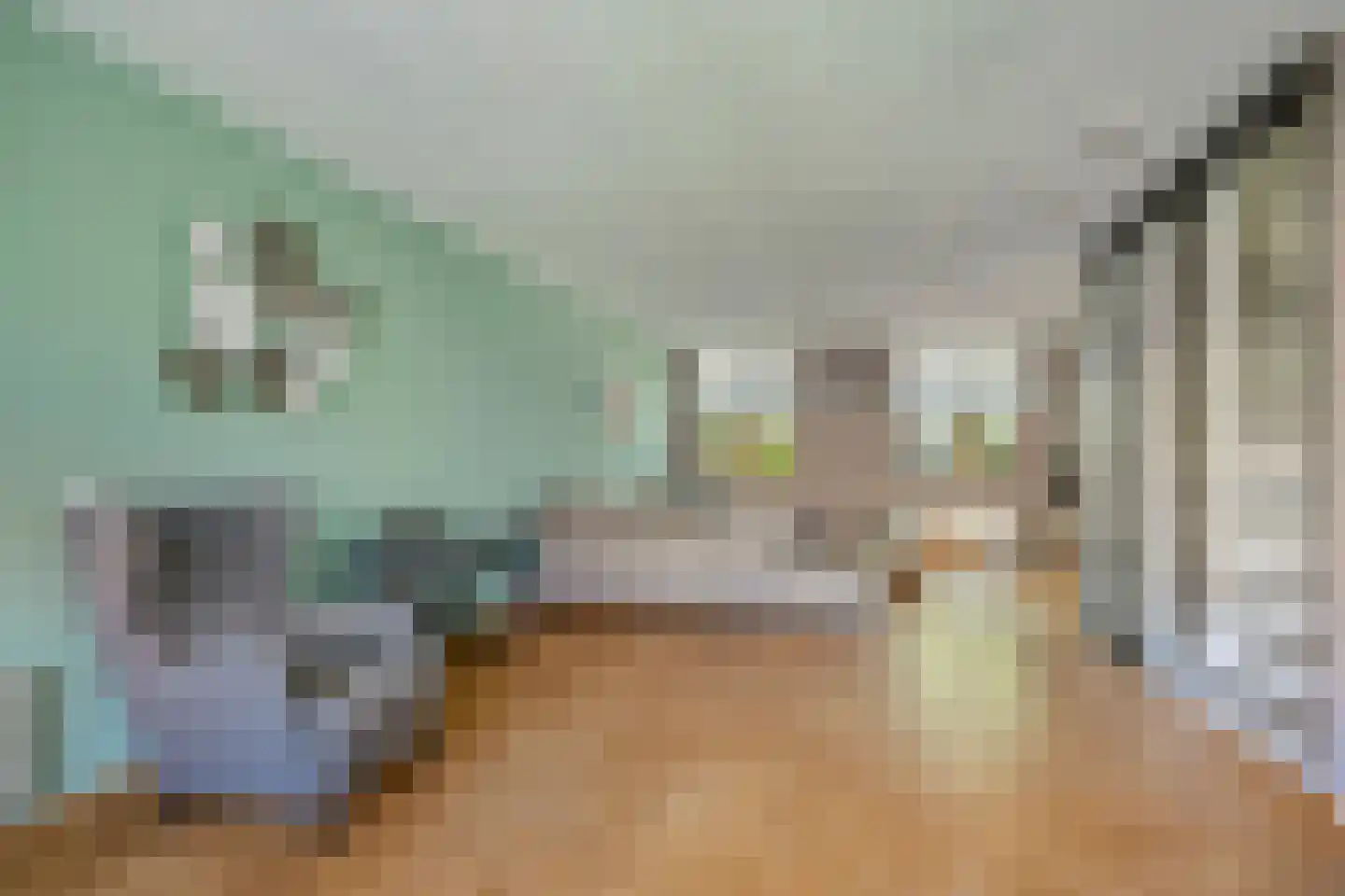 De Beeringen 3 Bemmel thumbnail 19