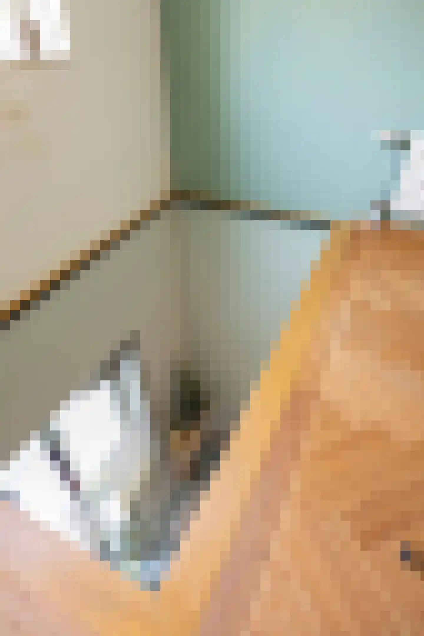 De Beeringen 3 Bemmel thumbnail 21
