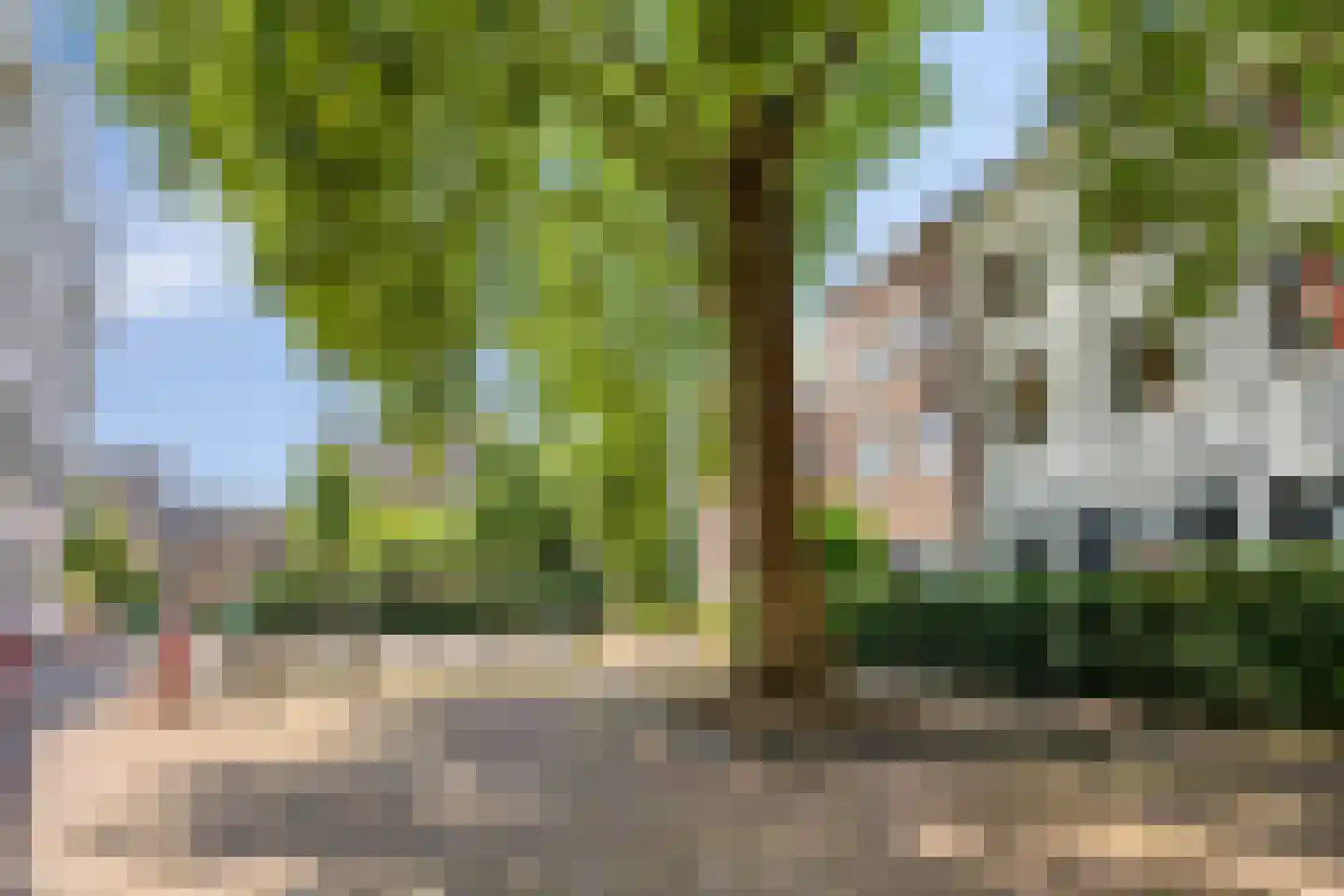 De Beeringen 3 Bemmel foto 3