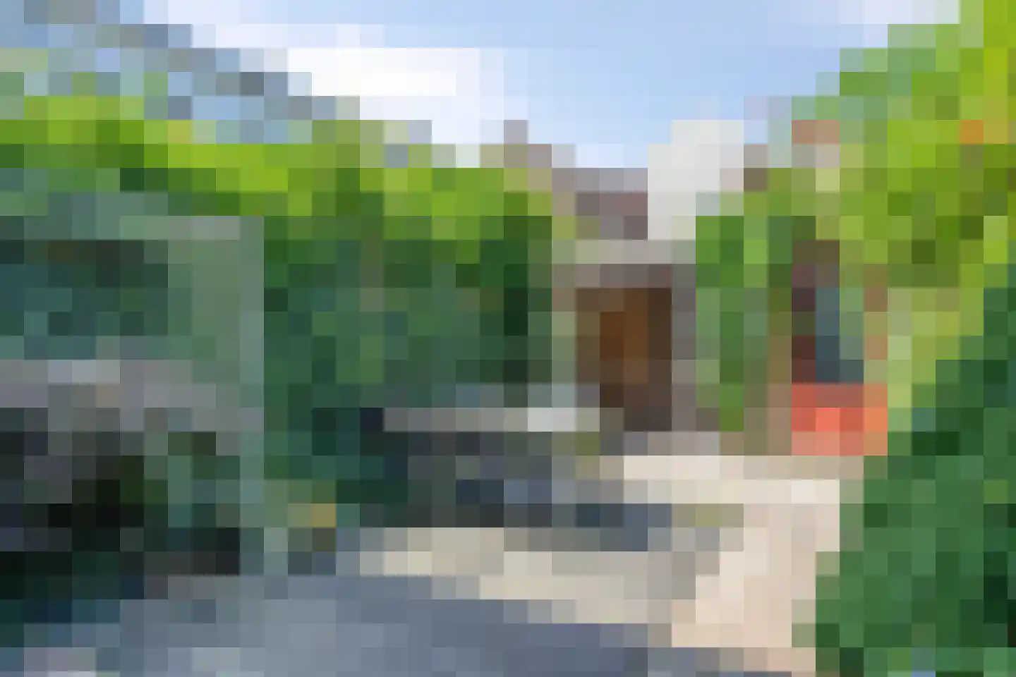 De Beeringen 3 Bemmel thumbnail 43