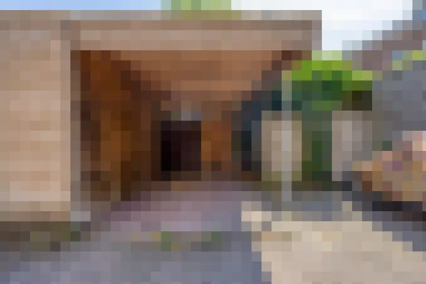 De Beeringen 3 Bemmel thumbnail 47