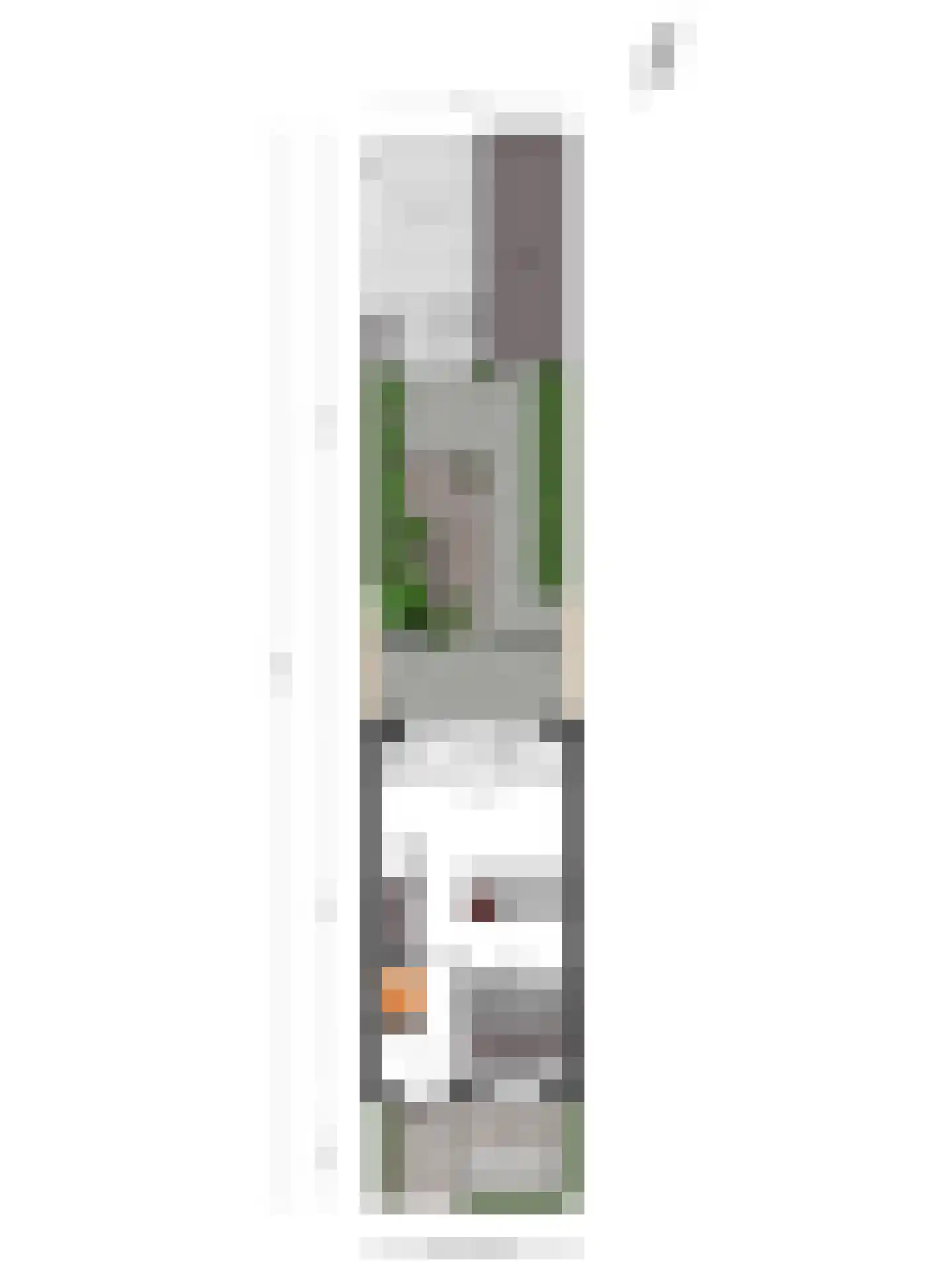De Beeringen 3 Bemmel thumbnail 50