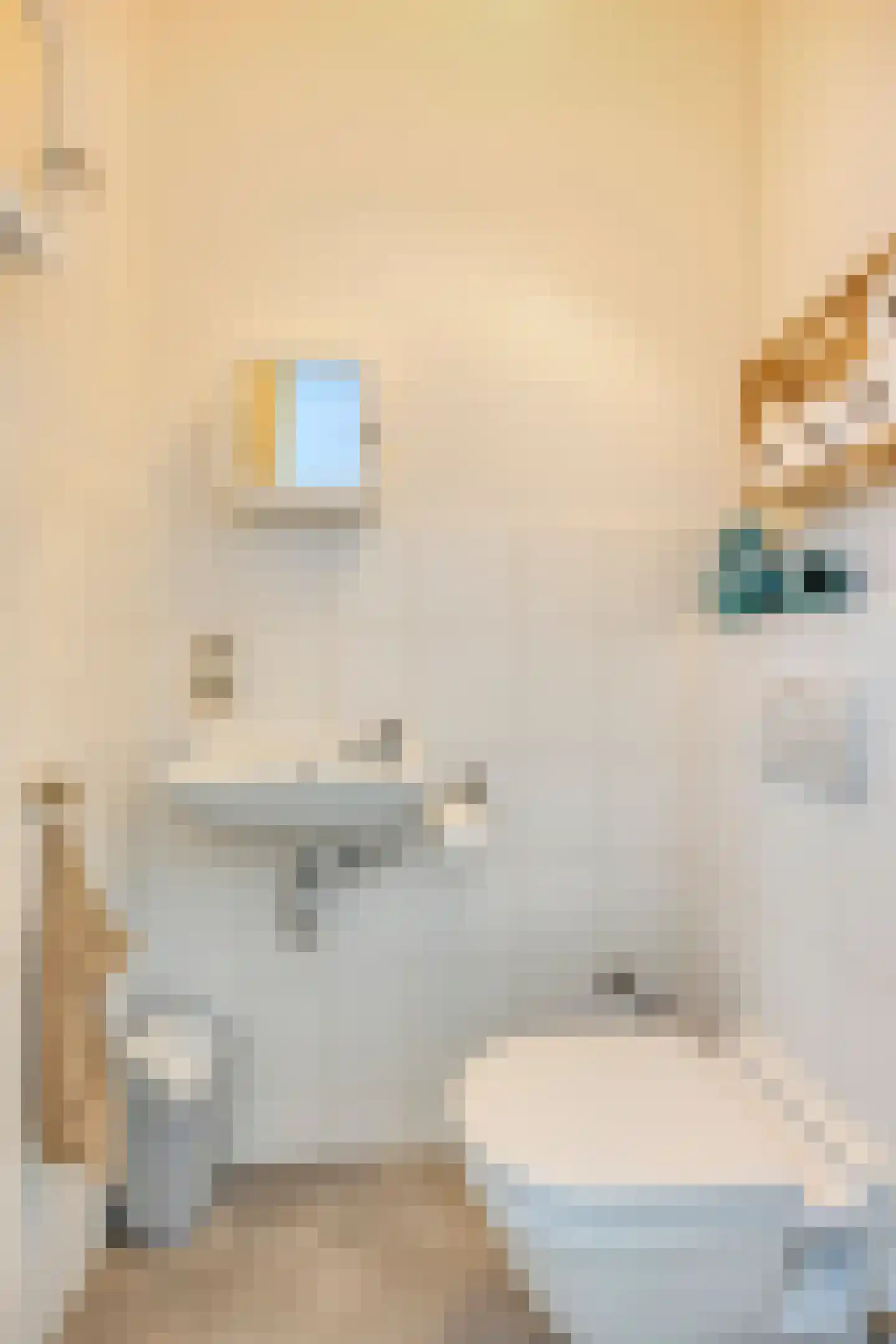 De Beeringen 3 Bemmel thumbnail 6