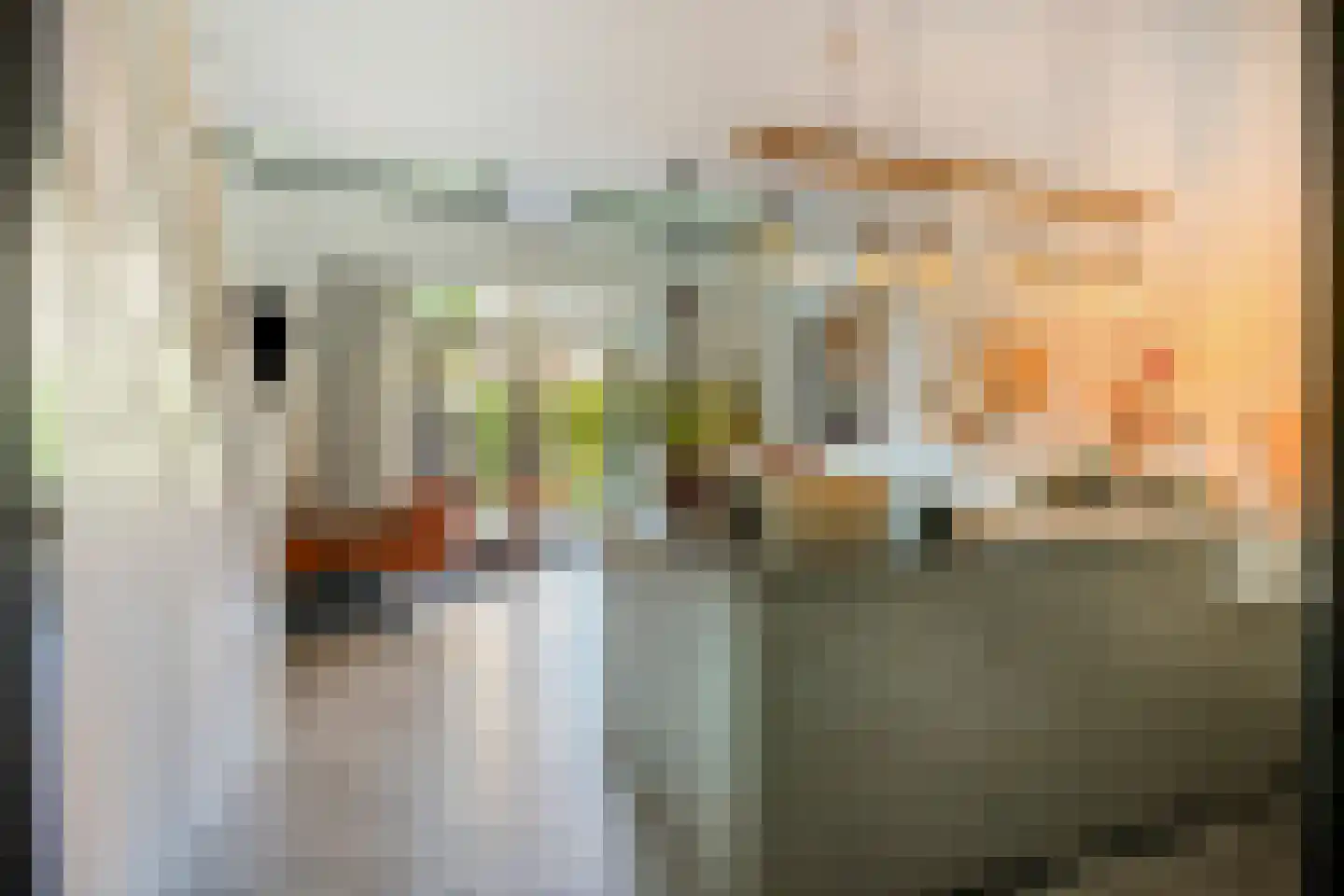De Beeringen 3 Bemmel thumbnail 8